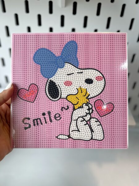 تابلو نقاشی الماسی قابدار کد K166_5